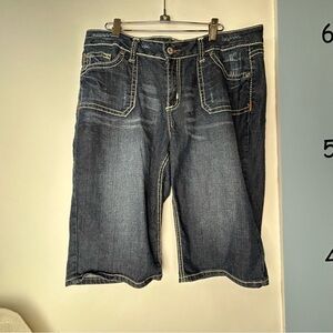 Cato Woman Bermuda Blue Jean Shorts w/Embroidery Women's 16W‎